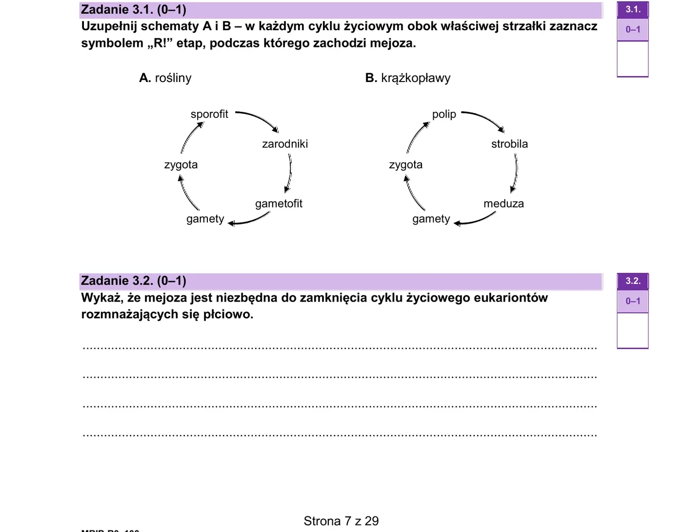 Zadanie 3 - cykle życiowe roślin i krążkopławów