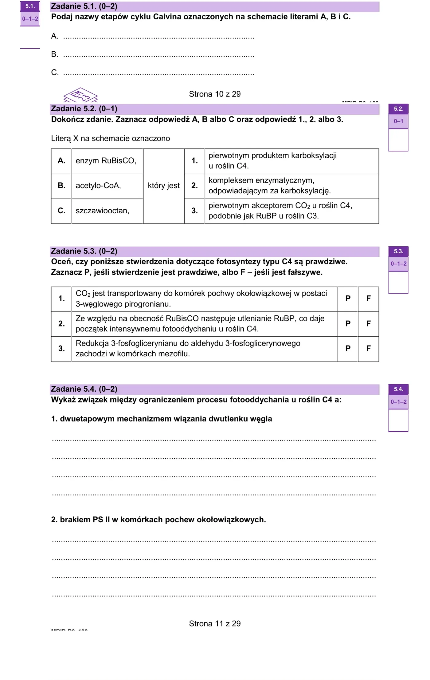 Zadanie 5 - schemat fotosyntezy C4
