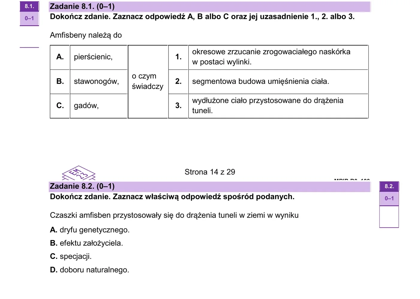 Zadanie 8 - amfisbeny