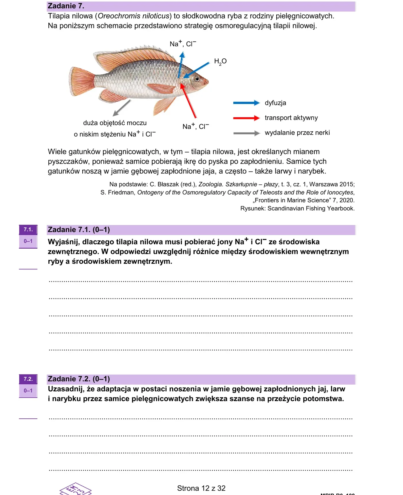 Zadanie 7 - tilapia, osmoregulacja