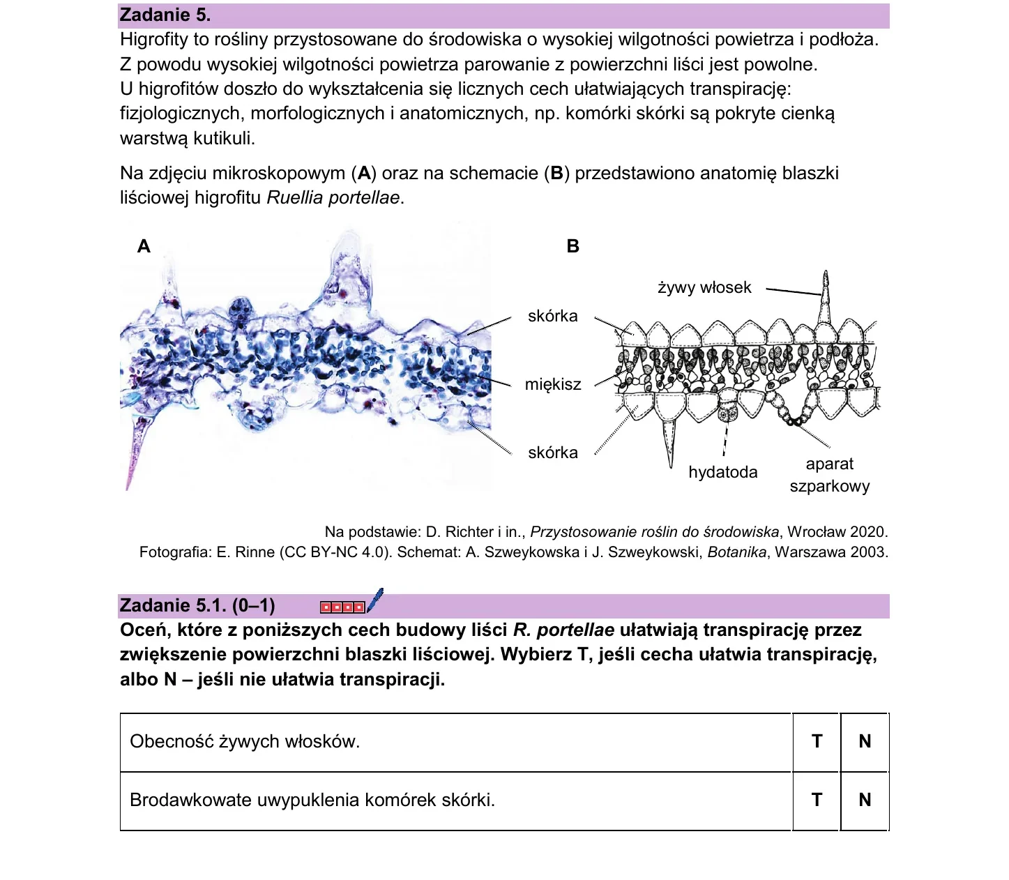 Zadanie 5 — biologia 2026, poziom rozszerzony, arkusz CKE