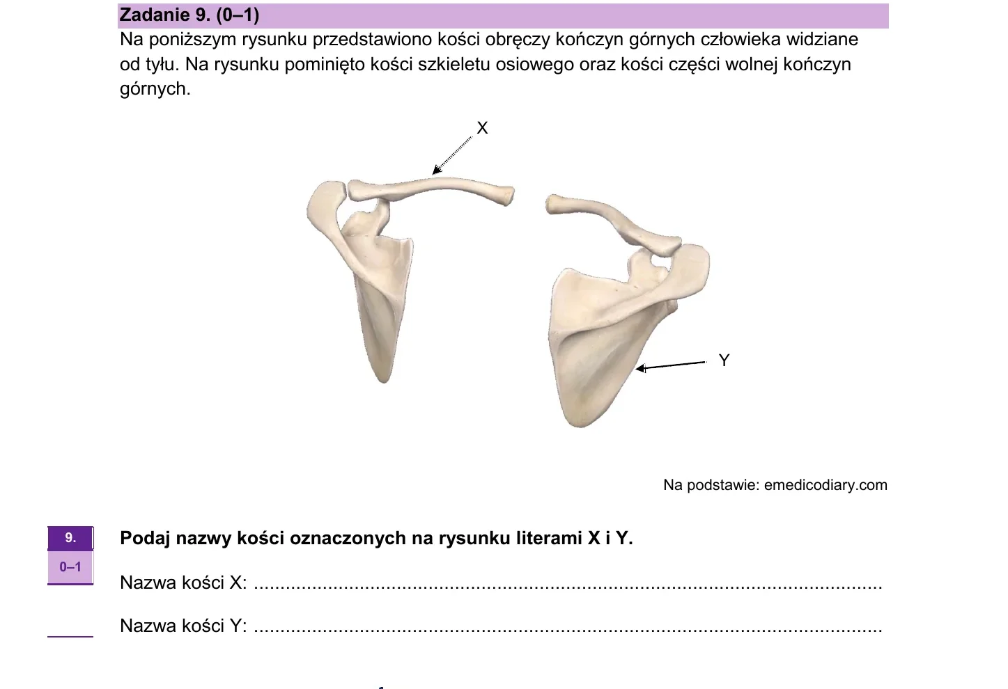 Zadanie 9 — biologia 2026, poziom rozszerzony, arkusz CKE