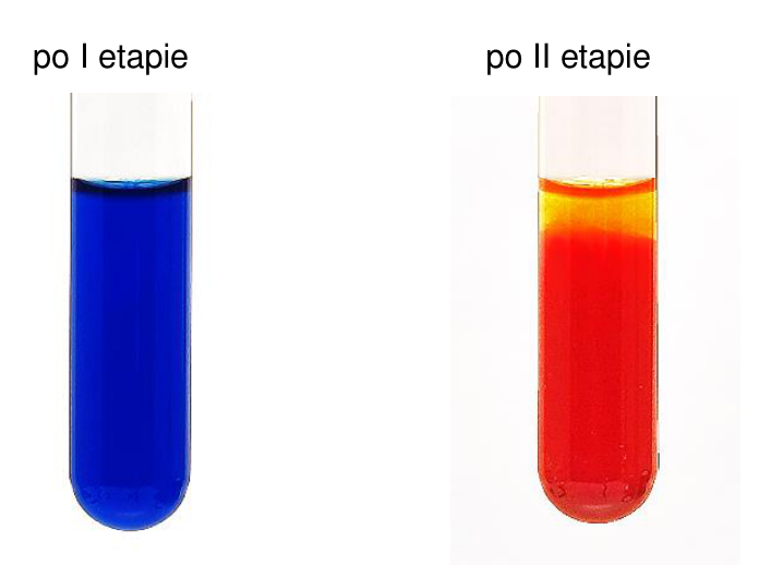 Zdjęcia zawartości probówki po I etapie (po dodaniu roztworu glukozy) i po II etapie doświadczenia (po ogrzaniu).