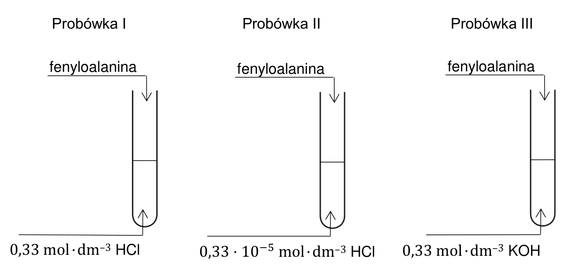 Rysunek doświadczenia: do probówek I, II i III z roztworami HCl o stężeniu 0,33 mol·dm⁻³, HCl o stężeniu 0,33·10⁻⁵ mol·dm⁻³ i KOH o stężeniu 0,33 mol·dm⁻³ wprowadzono fenyloalaninę.