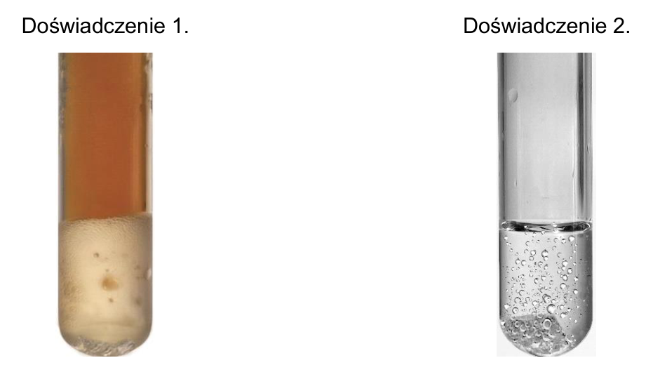Zdjęcia probówek z przebiegiem dwóch doświadczeń reakcji metali (cynk, srebro) z kwasami (kwas solny, kwas azotowy(V)) — doświadczenie 1. i doświadczenie 2.