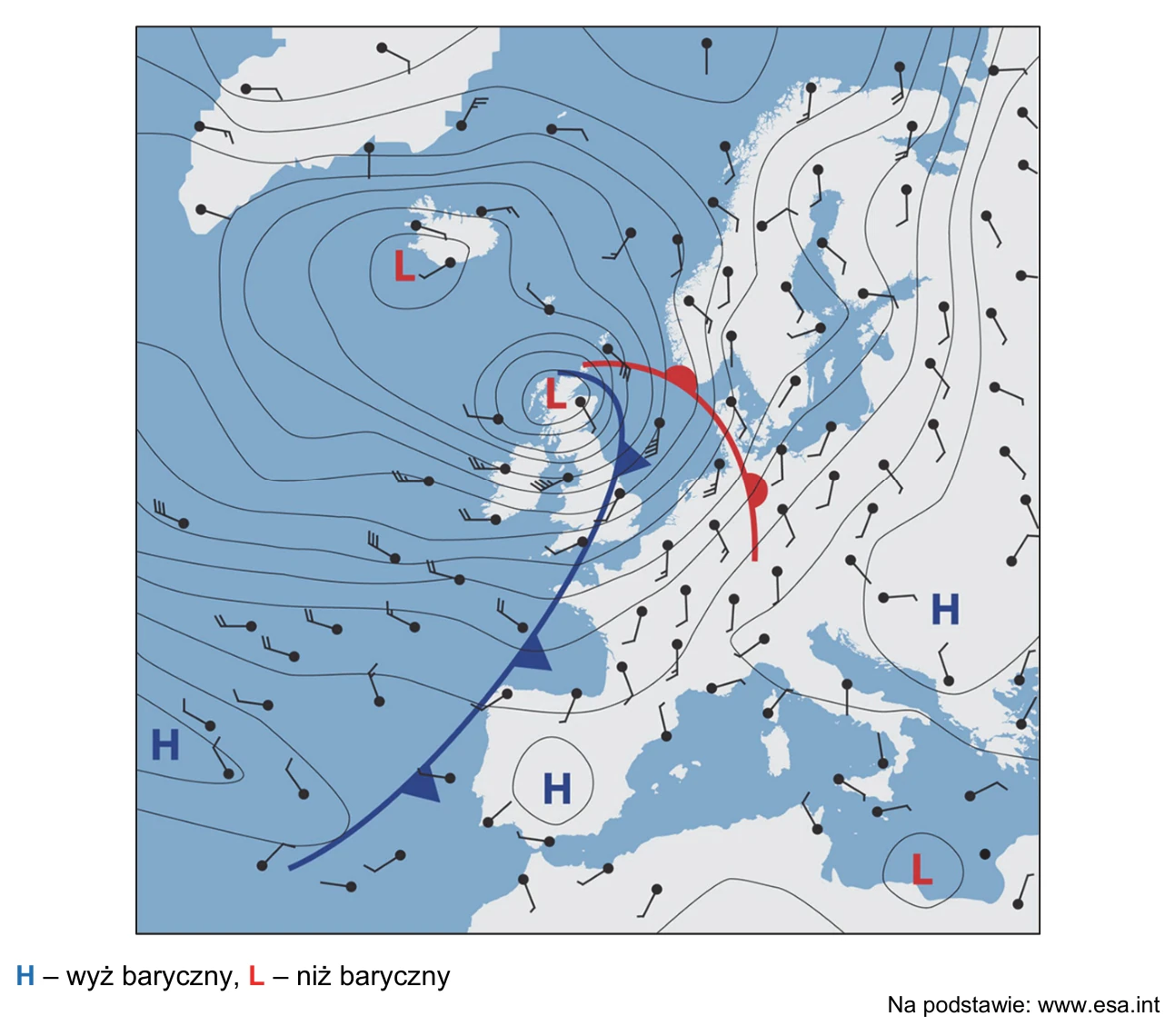 Mapa synoptyczna Europy z układami barycznymi (H – wyż, L – niż), frontami atmosferycznymi, izobarami i kierunkami wiatru w wybranym dniu.