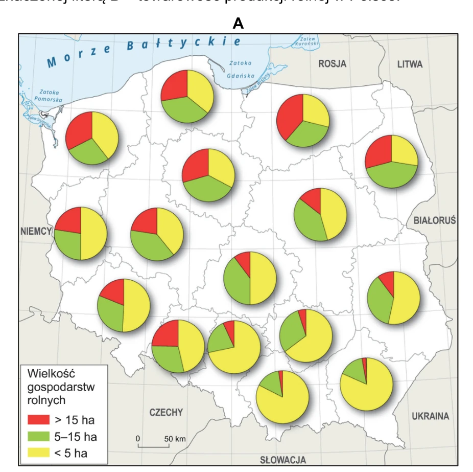 Mapa A: struktura wielkości gospodarstw rolnych w Polsce według województw, przedstawiona diagramami kołowymi.
