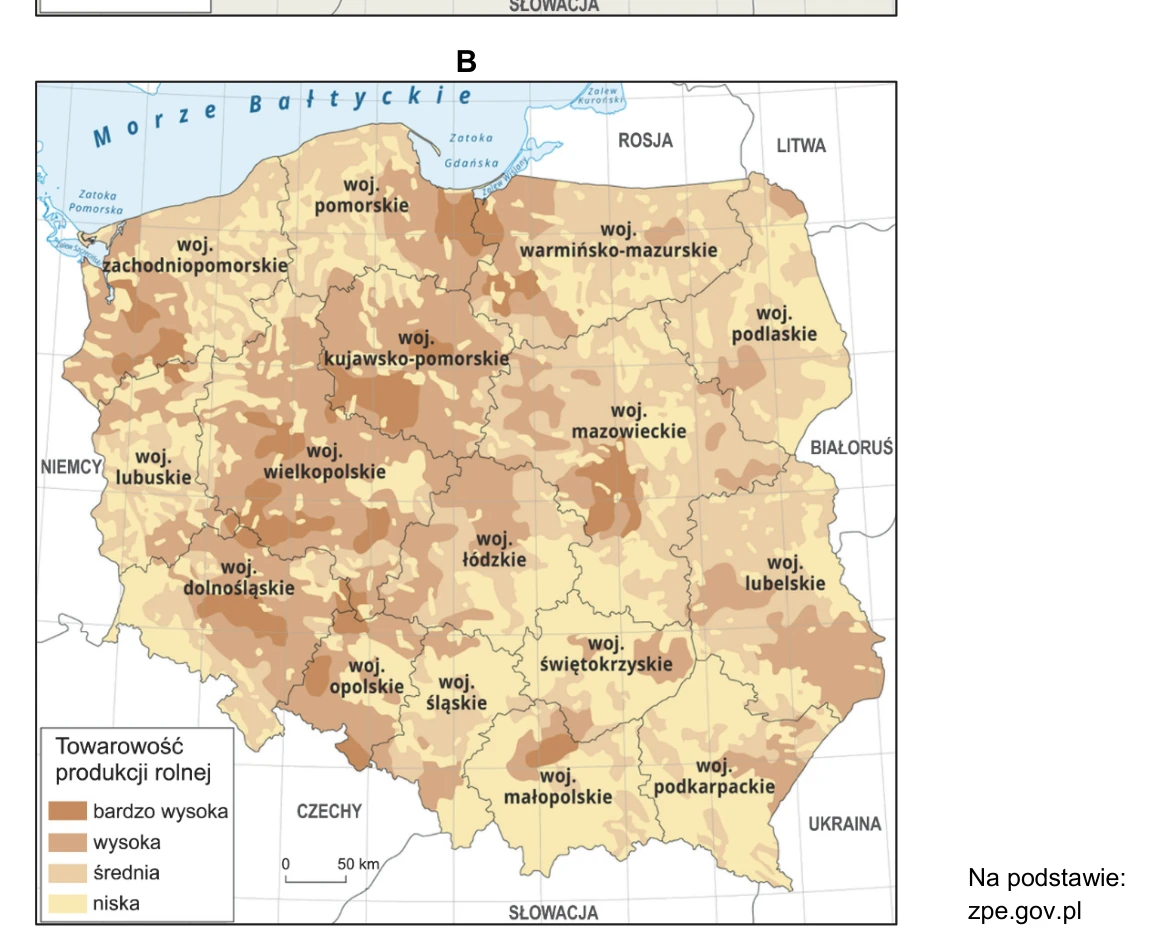 Mapa B: towarowość produkcji rolnej w Polsce w czterech klasach – od niskiej do bardzo wysokiej.