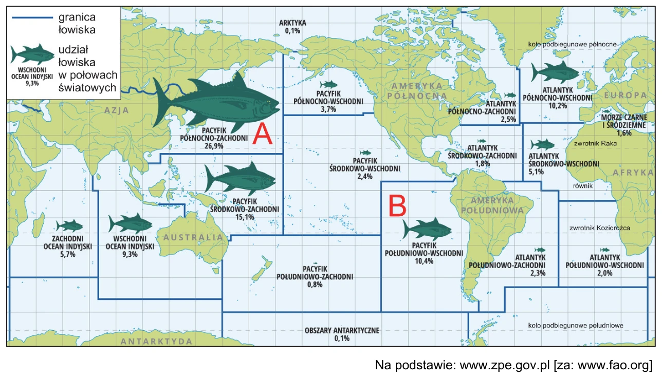 Mapa łowisk świata z udziałem poszczególnych łowisk w połowach światowych; literami A i B oznaczono wybrane łowiska.