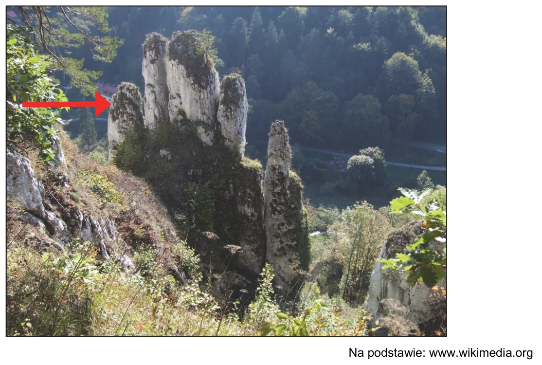 Fotografia z parku narodowego oznaczonego numerem 7: wapienne ostańce skalne nad doliną, strzałka wskazuje wybraną formę rzeźby krasowej.