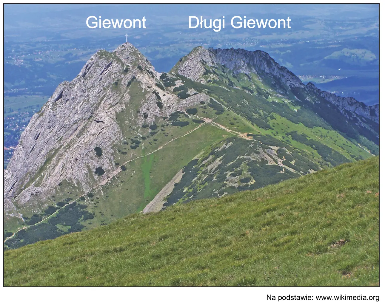 Fotografia masywu Giewontu z podpisanymi szczytami Giewont i Długi Giewont, wykonana z grzbietu porośniętego trawą.