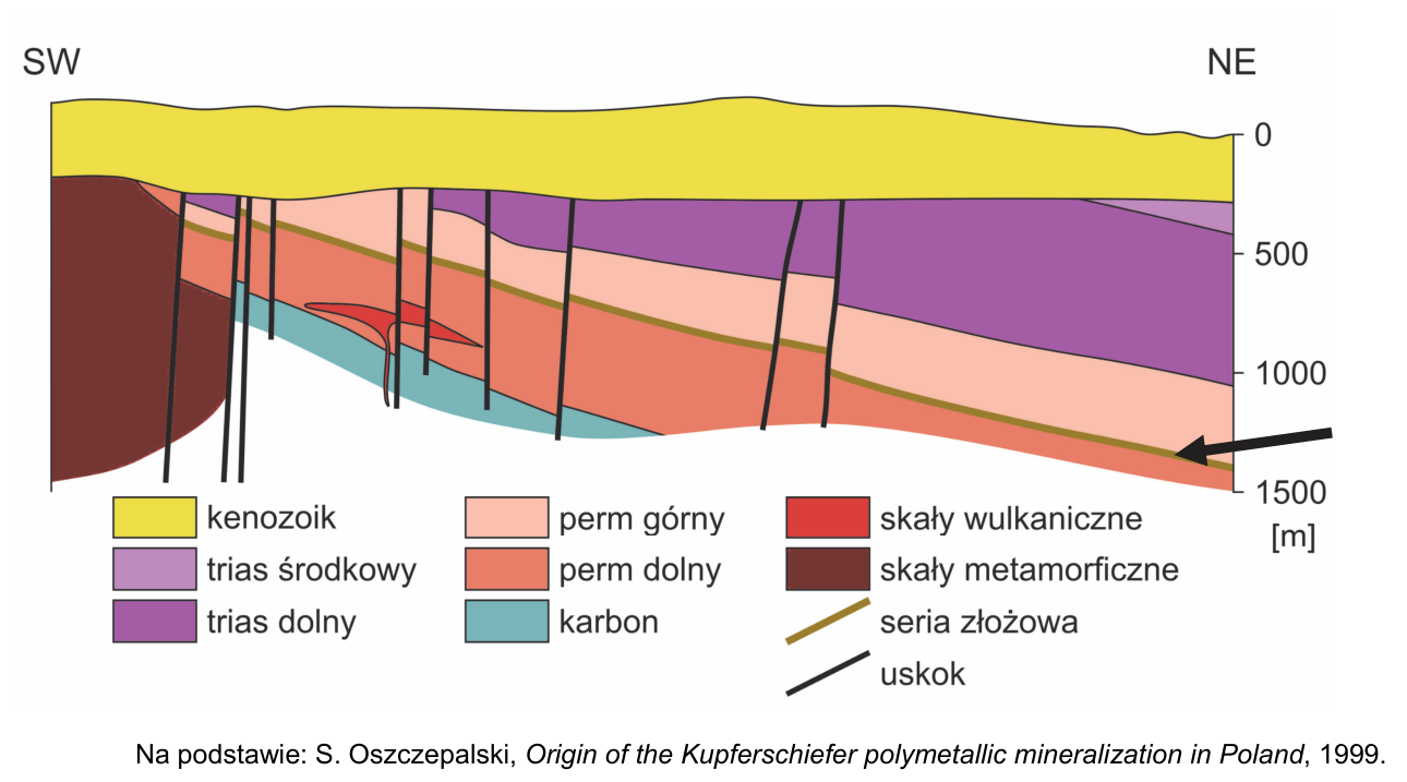 Przekrój geologiczny SW–NE przez fragment obszaru wydobycia miedzi i srebra; strzałką wskazano serię złożową.