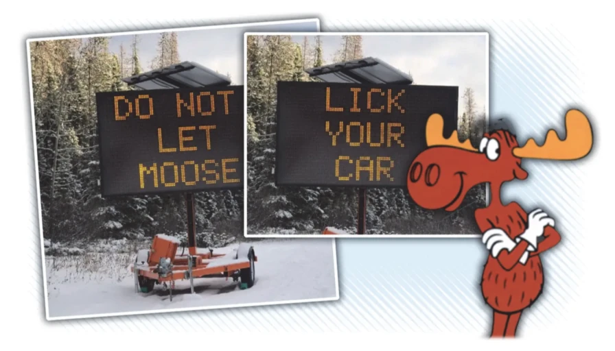 Ilustracja do tekstu „Moose Must Stop Licking Cars”: drogowe tablice świetlne z napisami „DO NOT LET MOOSE LICK YOUR CAR” i rysunkowy łoś.
