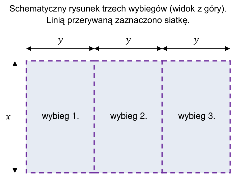 Schematyczny rysunek trzech przylegających prostokątnych wybiegów (widok z góry) o wymiarach x na y, z siatką zaznaczoną linią przerywaną.