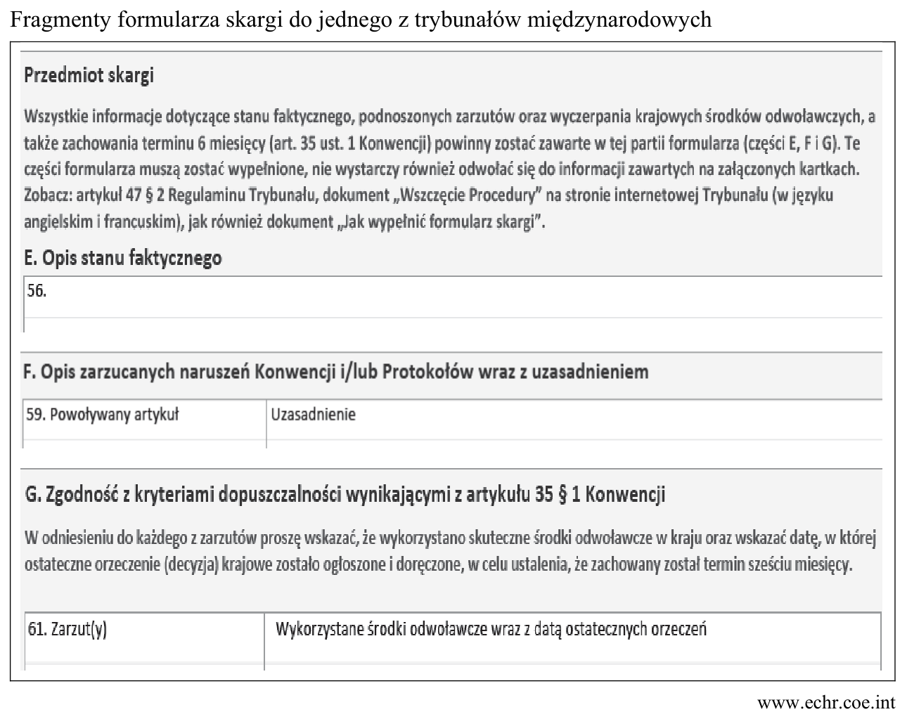 Fragmenty formularza skargi do Europejskiego Trybunału Praw Człowieka: części E–G (opis stanu faktycznego, zarzucanych naruszeń Konwencji i zgodności z kryteriami dopuszczalności).